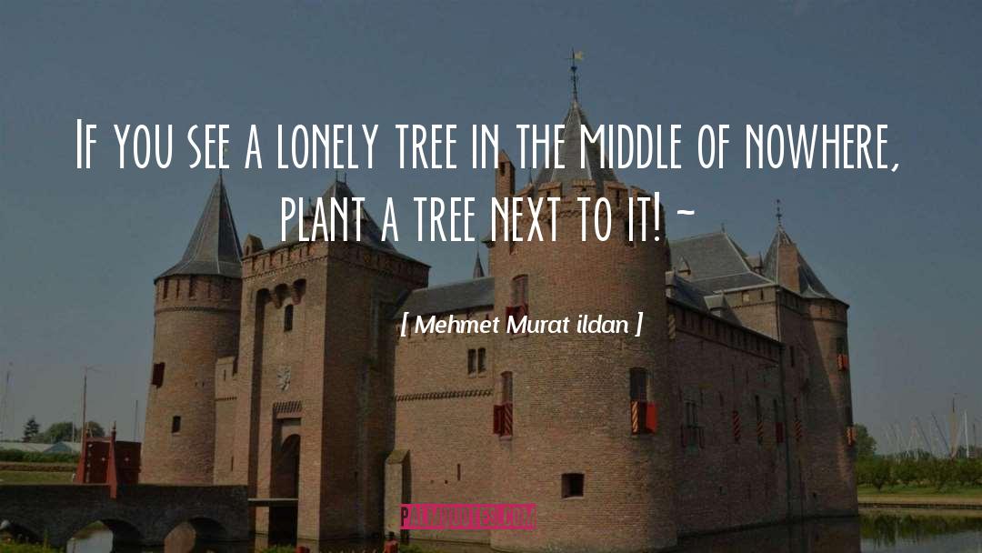 Lonely Trees quotes by Mehmet Murat Ildan