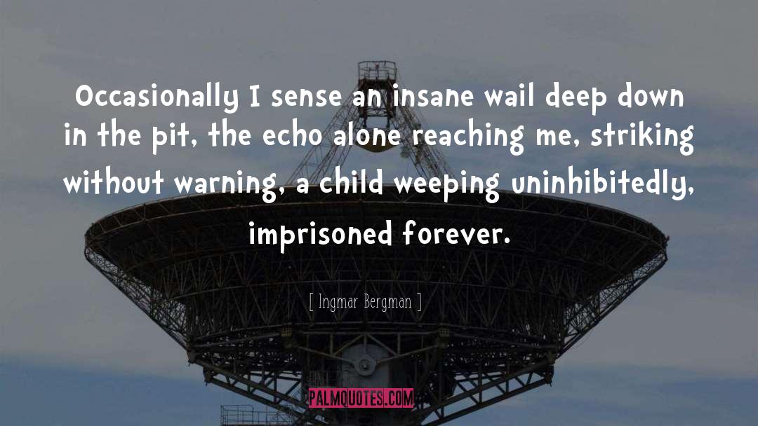 Lonelyness quotes by Ingmar Bergman