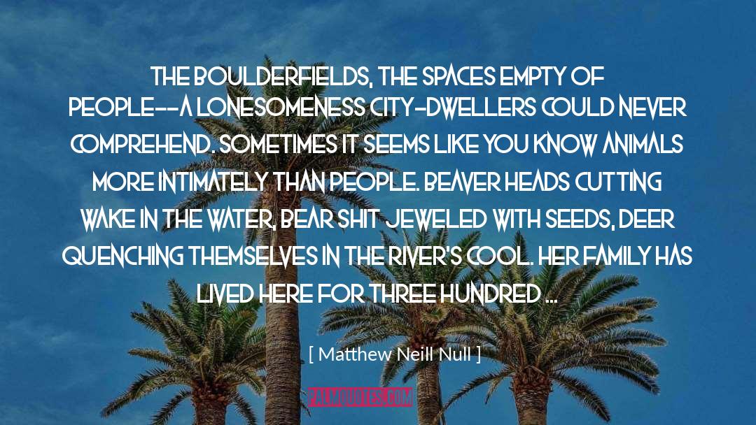 Lonesomeness quotes by Matthew Neill Null