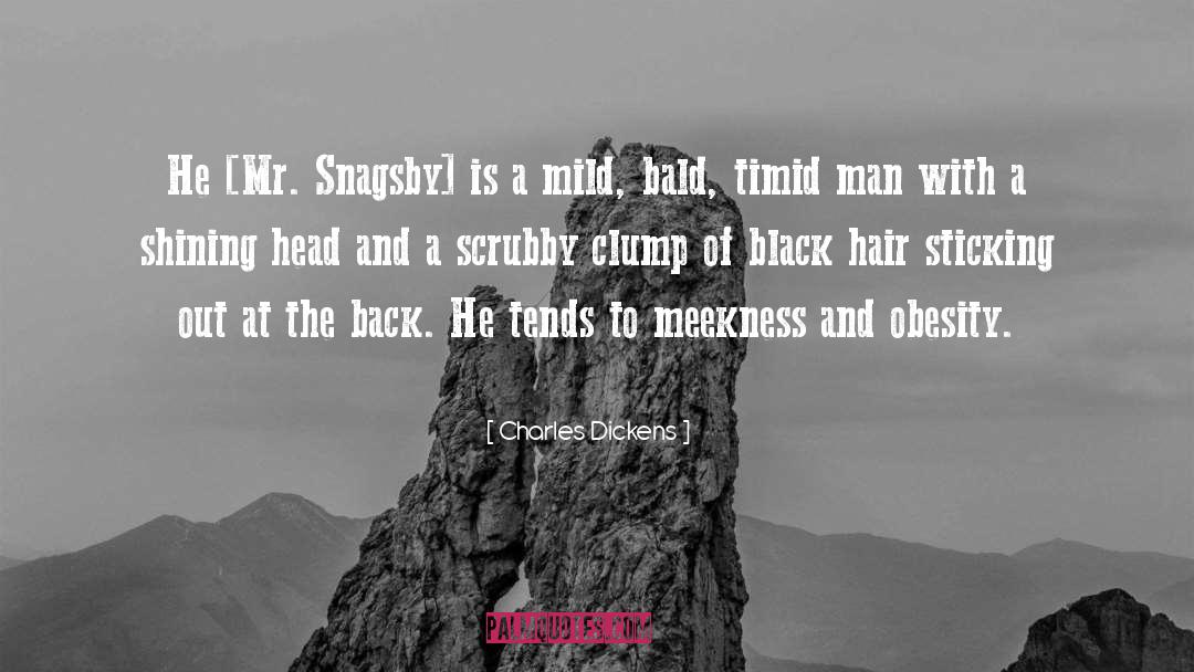 Long Black Hair quotes by Charles Dickens