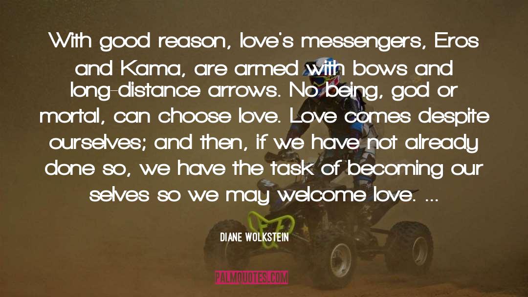 Long Distance Love Affairs quotes by Diane Wolkstein