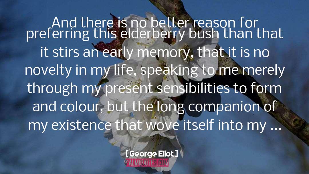 Long Drive quotes by George Eliot