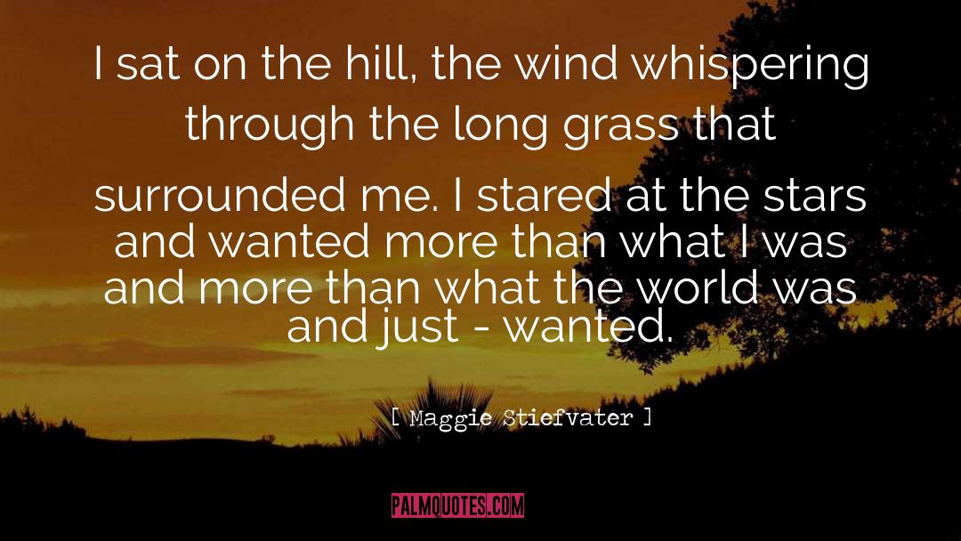 Long Grass quotes by Maggie Stiefvater