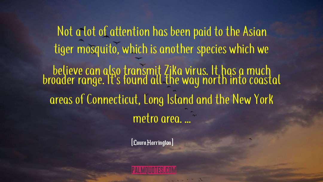 Long Island quotes by Laura Harrington