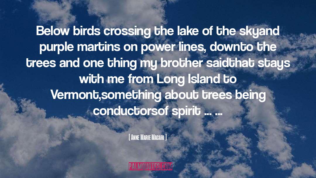 Long Island quotes by Anne Marie Macari