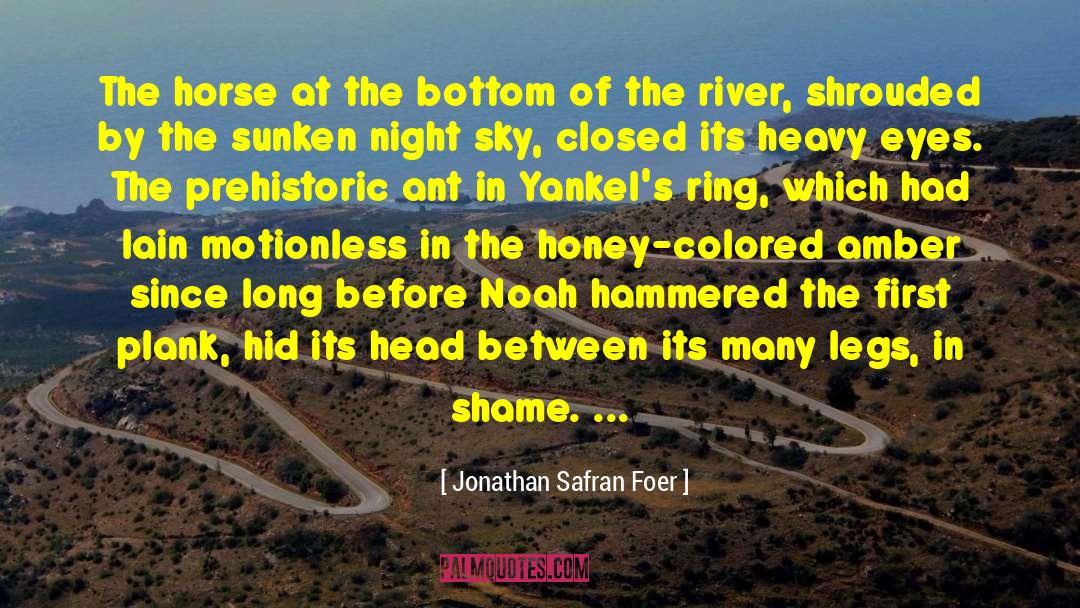 Long Nights quotes by Jonathan Safran Foer