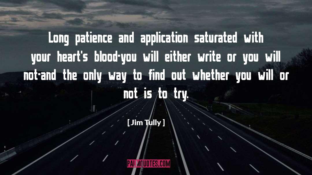 Long Patience quotes by Jim Tully