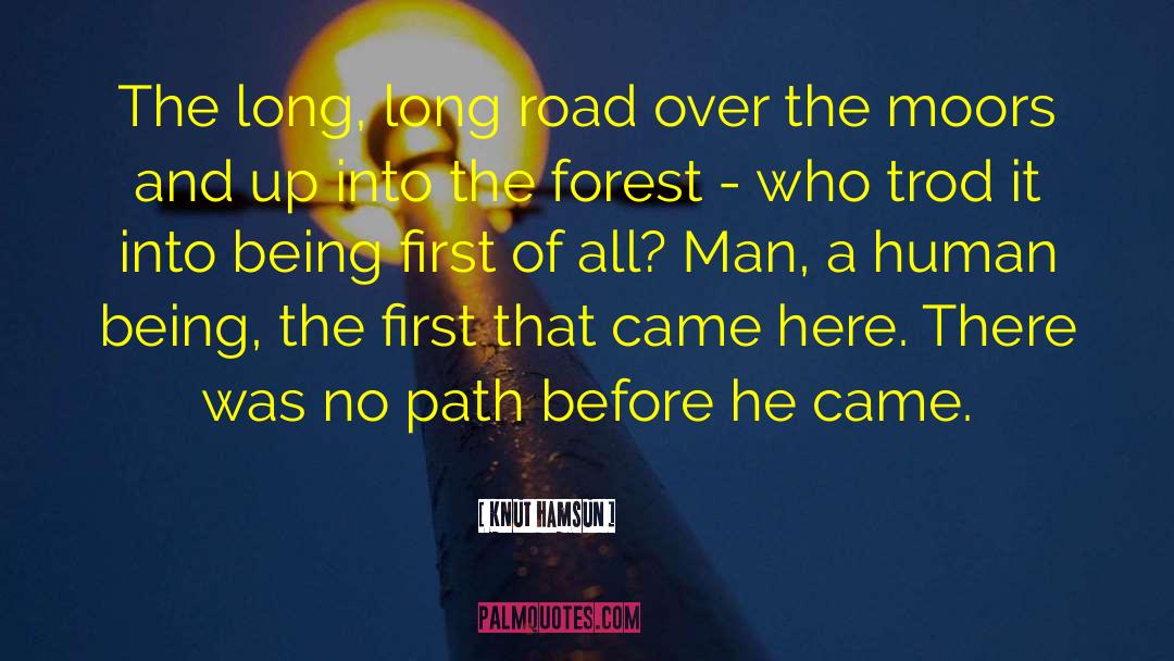 Long Road quotes by Knut Hamsun