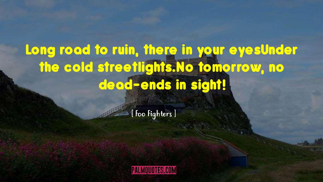 Long Road quotes by Foo Fighters