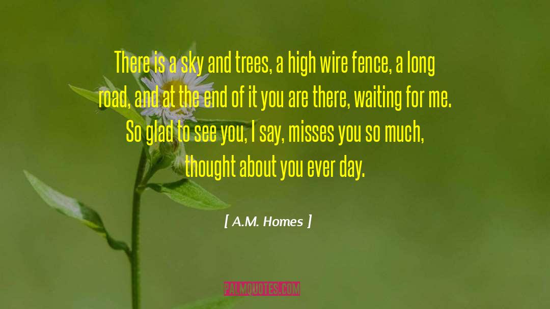 Long Road quotes by A.M. Homes