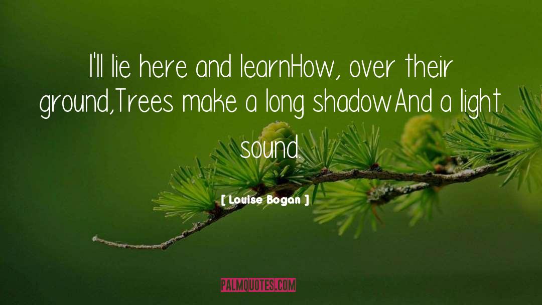 Long Shadows quotes by Louise Bogan