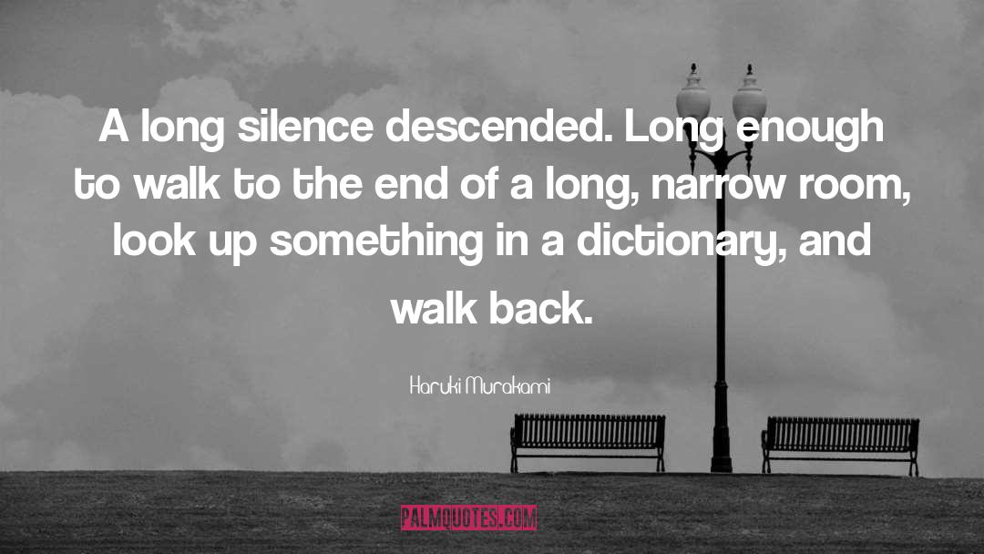 Long Silence quotes by Haruki Murakami