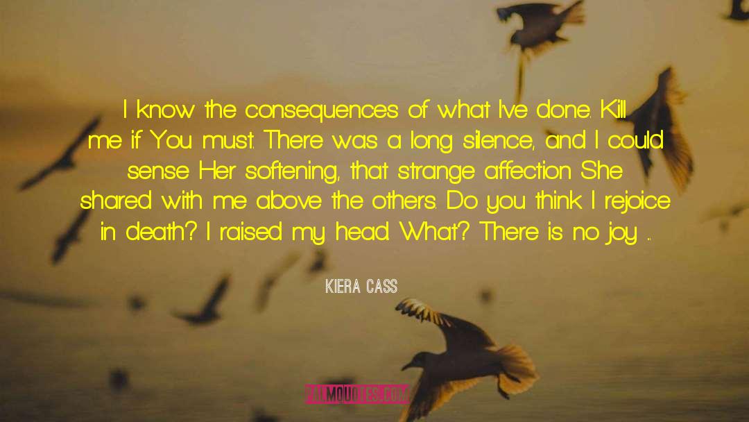 Long Silence quotes by Kiera Cass