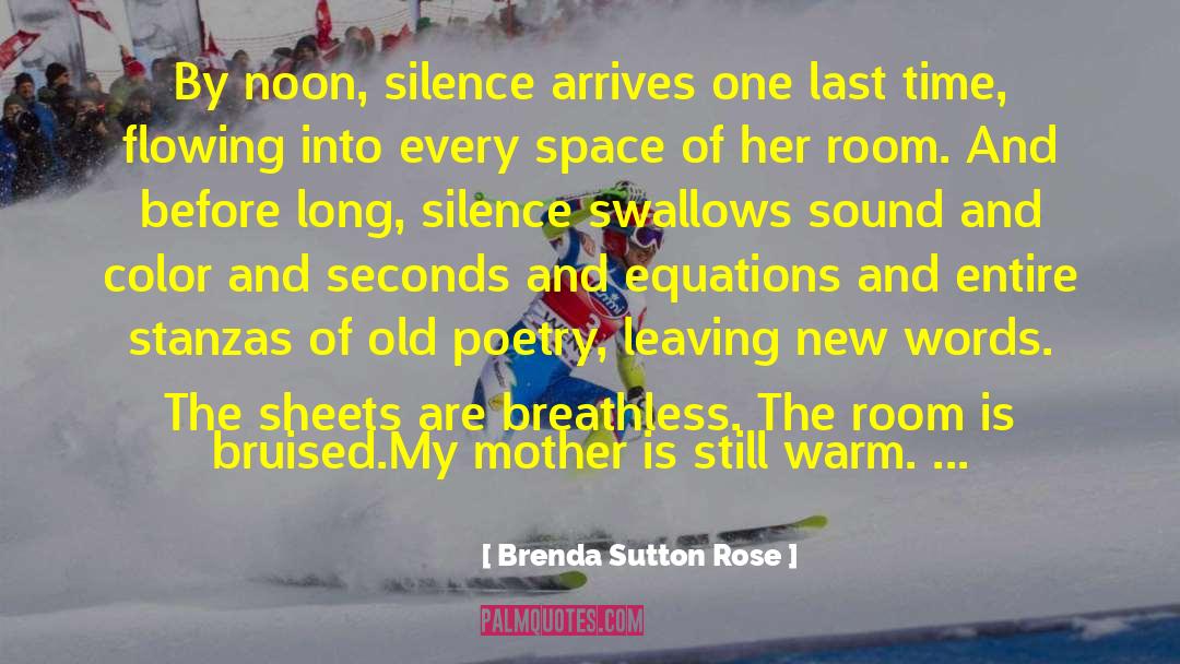 Long Silence quotes by Brenda Sutton Rose