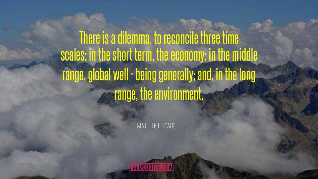 Long Term Plan quotes by Matthieu Ricard