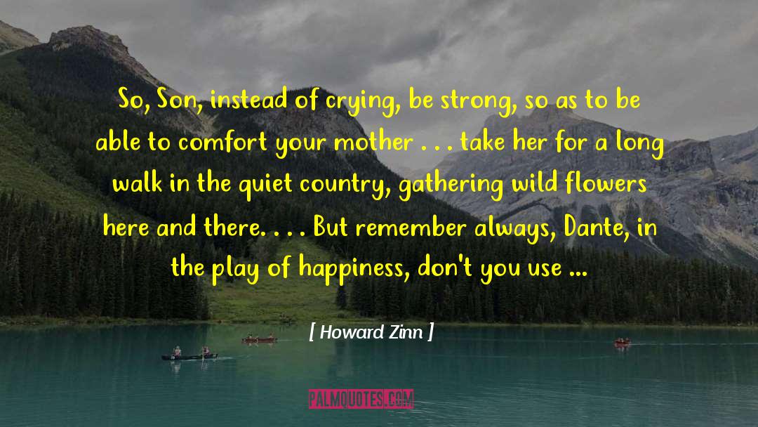Long Walk quotes by Howard Zinn