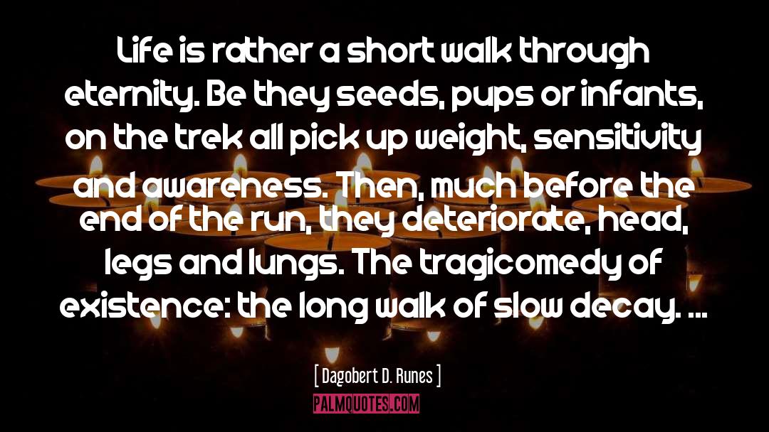 Long Walk quotes by Dagobert D. Runes