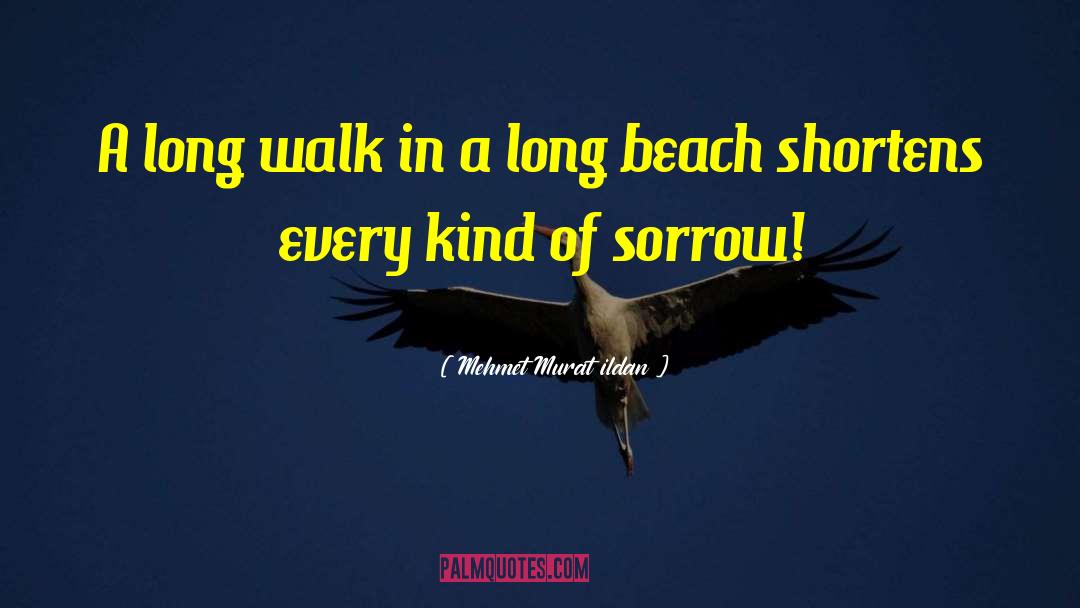 Long Walk quotes by Mehmet Murat Ildan