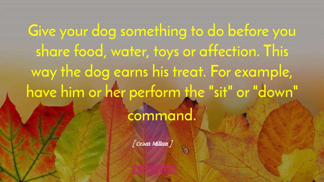 Long Way Down quotes by Cesar Millan