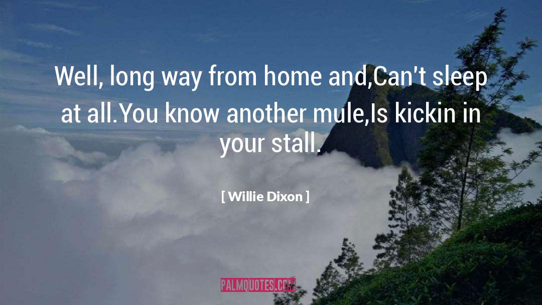 Long Way quotes by Willie Dixon