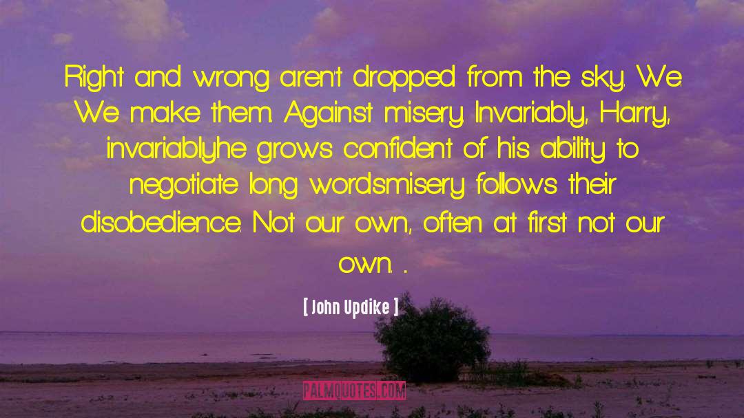 Long Words quotes by John Updike