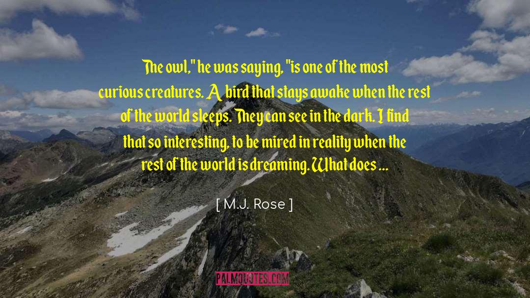 Longclaw The Owl quotes by M.J. Rose