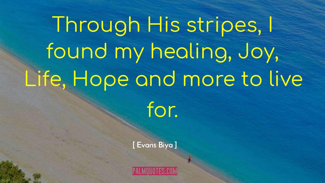 Longing For Joy quotes by Evans Biya