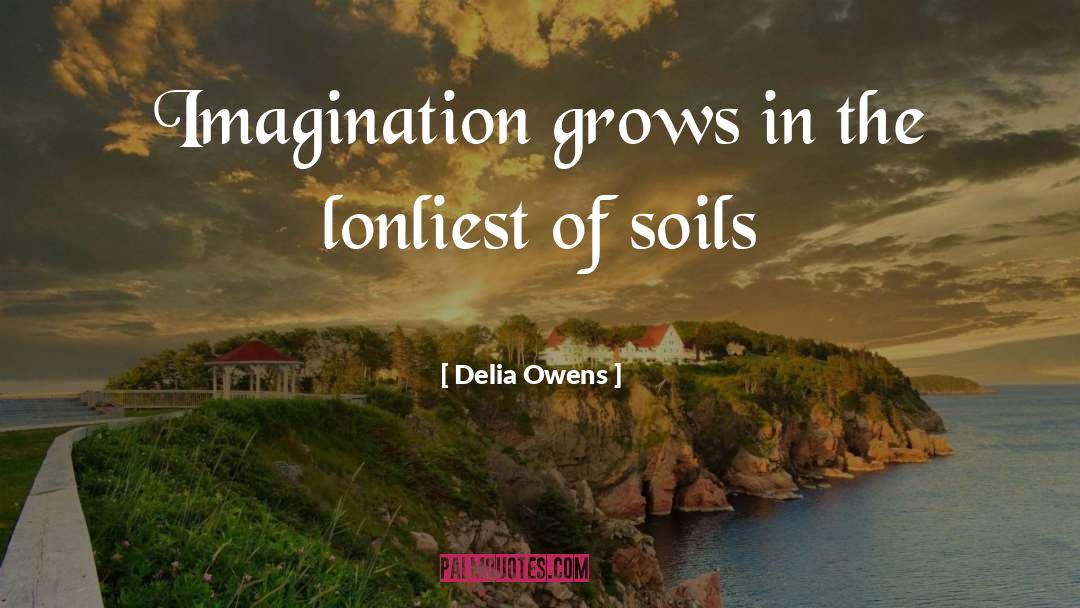 Lonliness quotes by Delia Owens