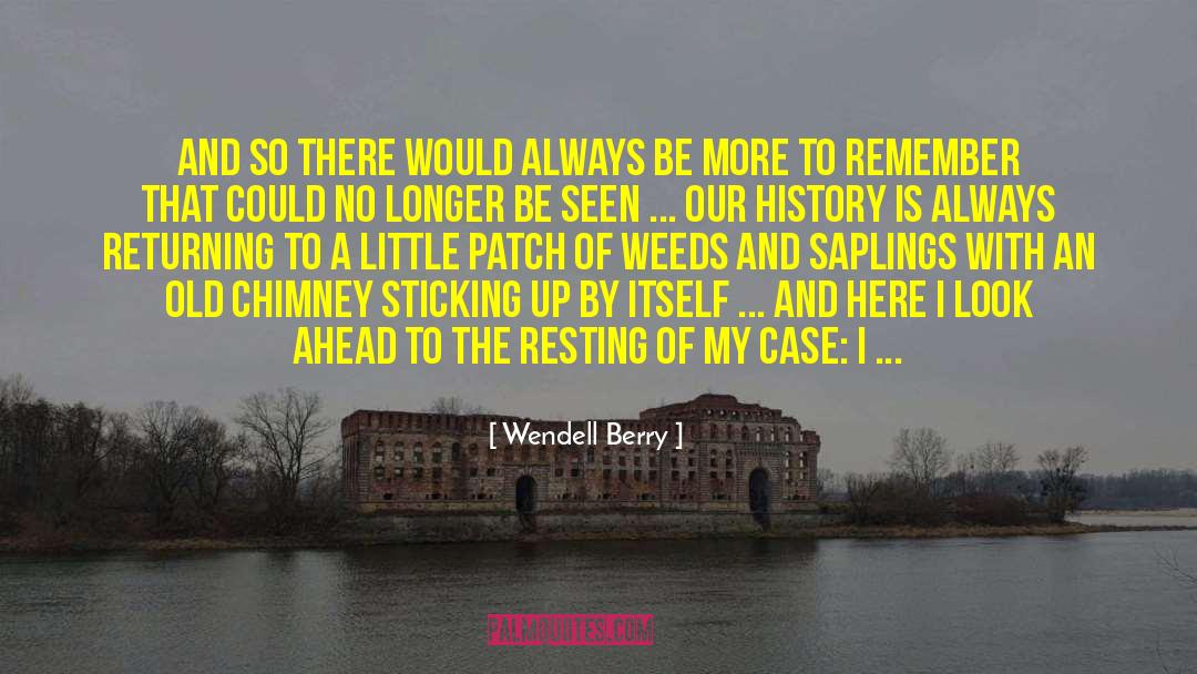 Look Ahead quotes by Wendell Berry