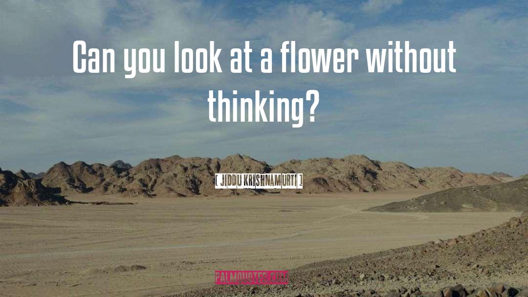 Look At A Flower quotes by Jiddu Krishnamurti