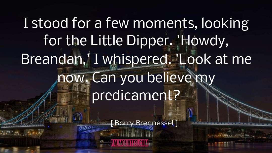 Look At Me Now quotes by Barry Brennessel