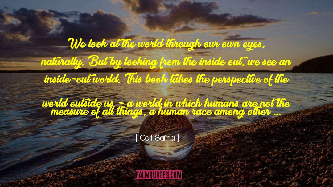 Look At The World quotes by Carl Safina