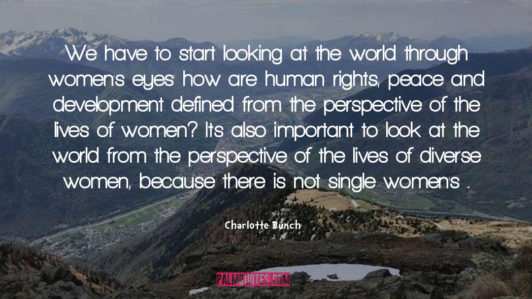 Look At The World quotes by Charlotte Bunch