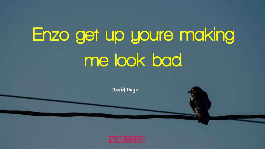 Look Bad quotes by David Haye