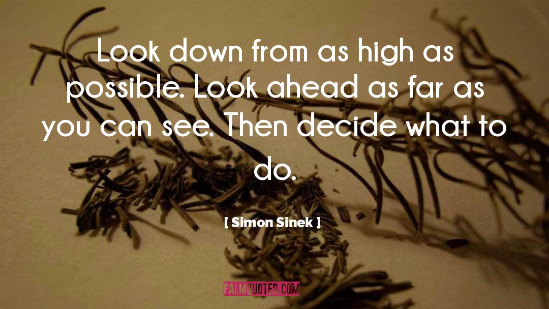 Look Beyond What You Look quotes by Simon Sinek