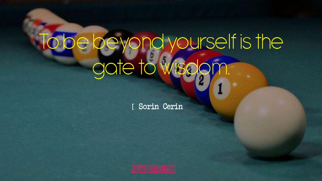 Look Beyond Yourself quotes by Sorin Cerin