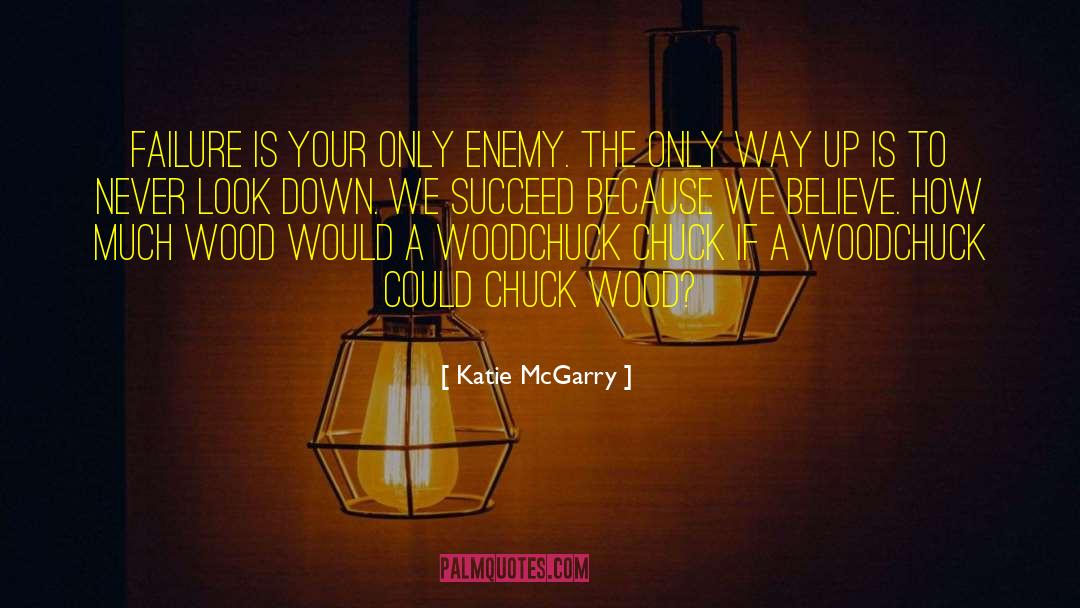 Look Down quotes by Katie McGarry