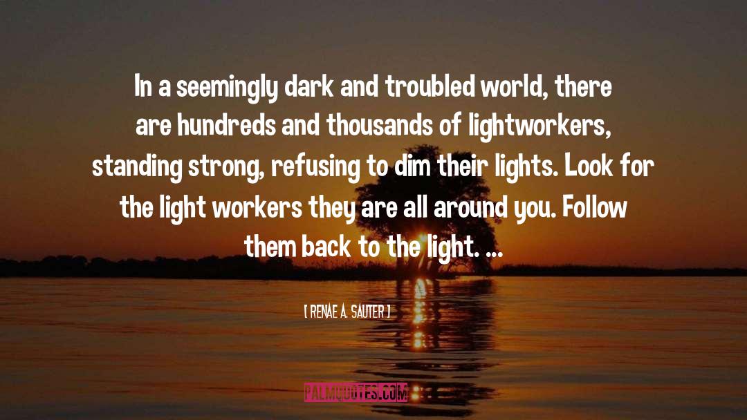 Look For The Light quotes by Renae A. Sauter