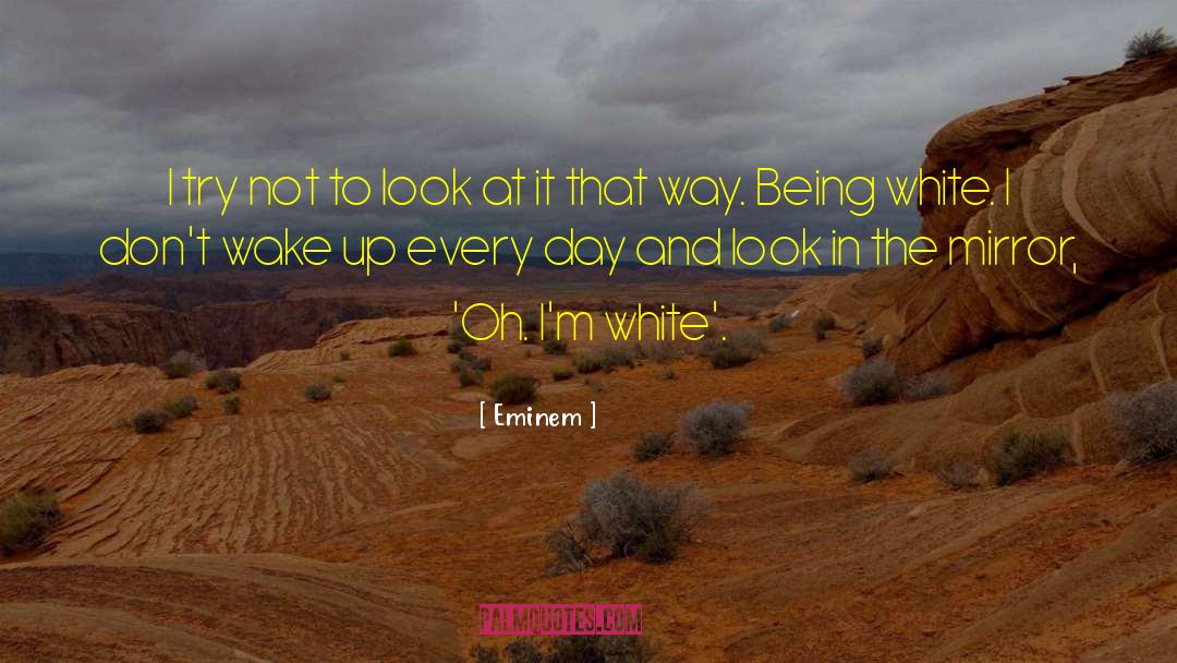 Look In The Mirror quotes by Eminem