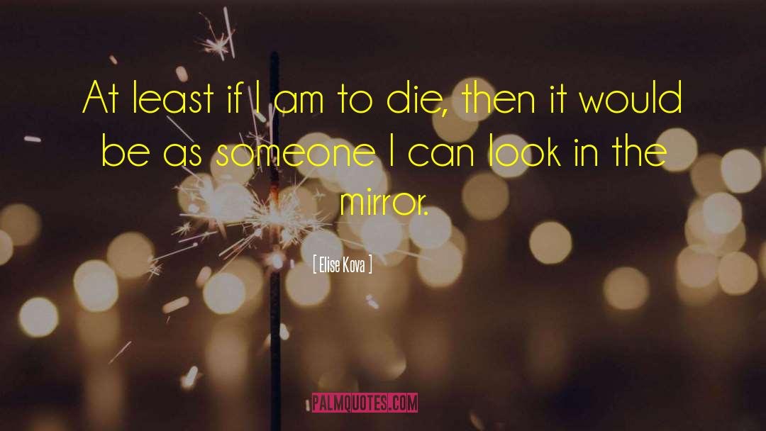 Look In The Mirror quotes by Elise Kova