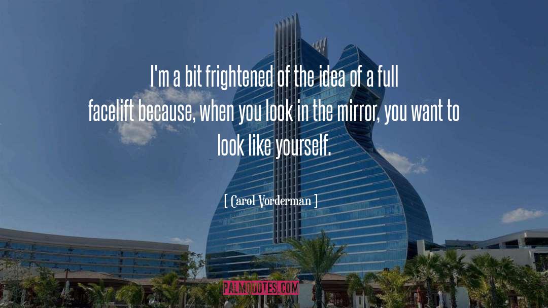 Look In The Mirror quotes by Carol Vorderman