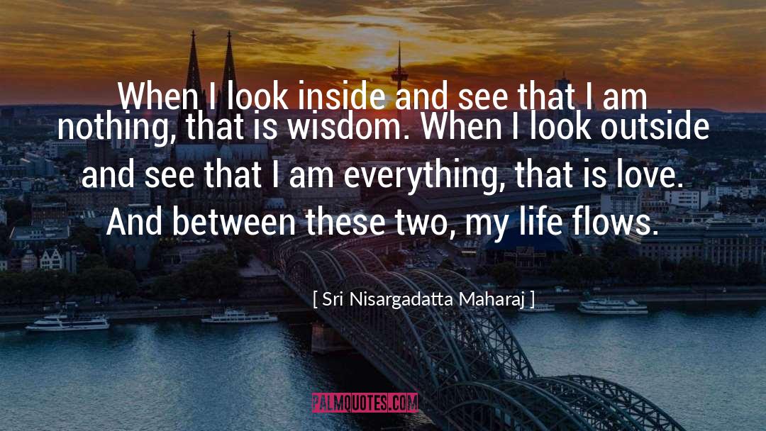Look Inside quotes by Sri Nisargadatta Maharaj
