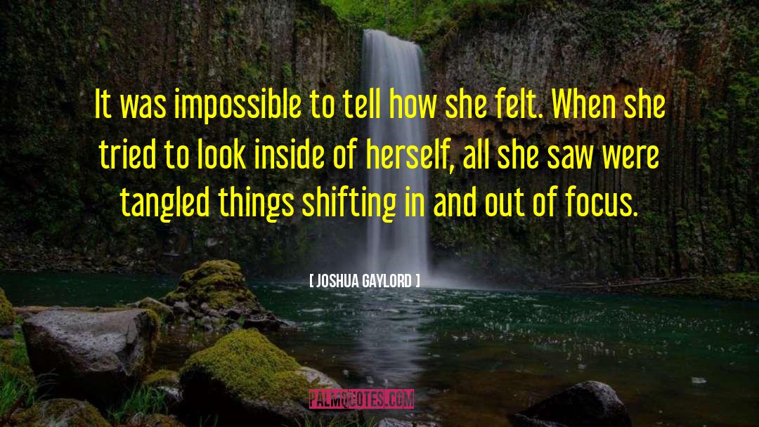 Look Inside quotes by Joshua Gaylord