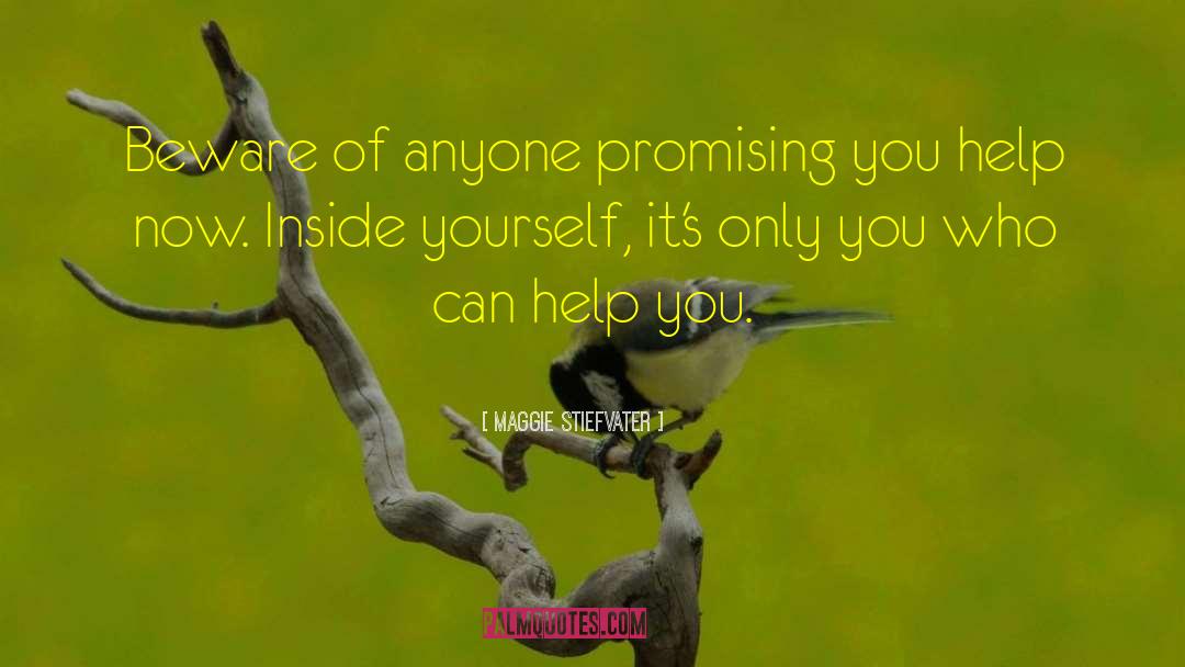 Look Inside Yourself quotes by Maggie Stiefvater