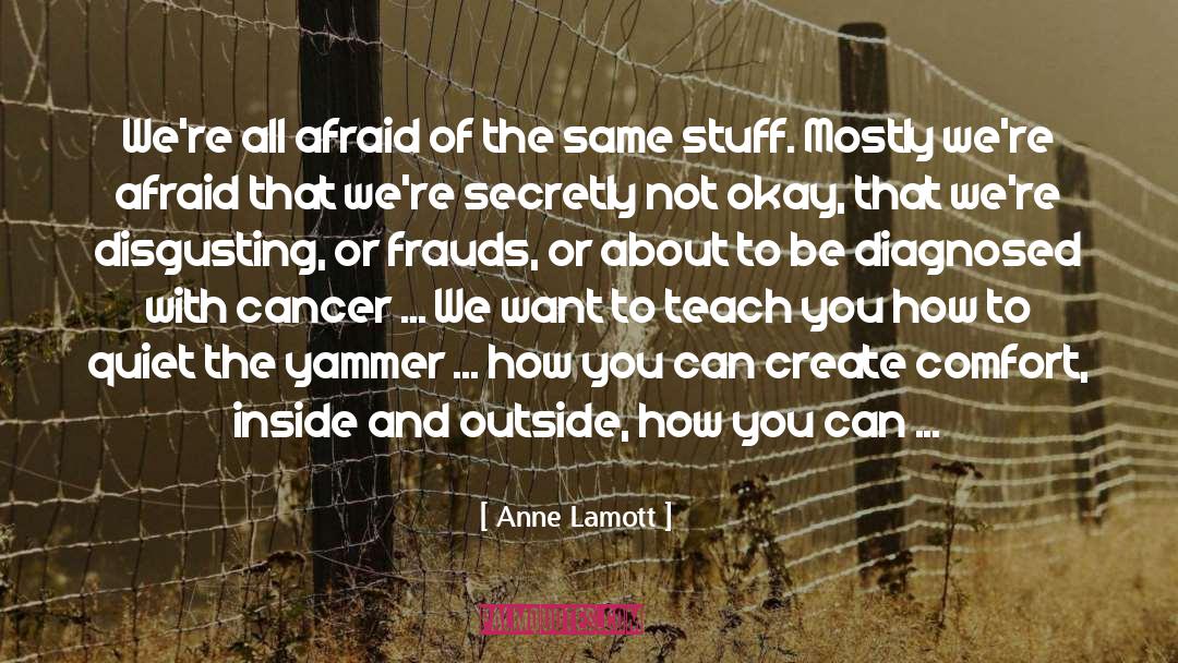 Look Inside Yourself quotes by Anne Lamott