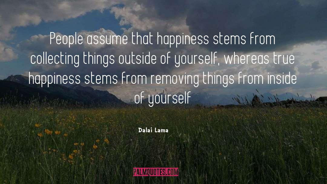 Look Inside Yourself quotes by Dalai Lama