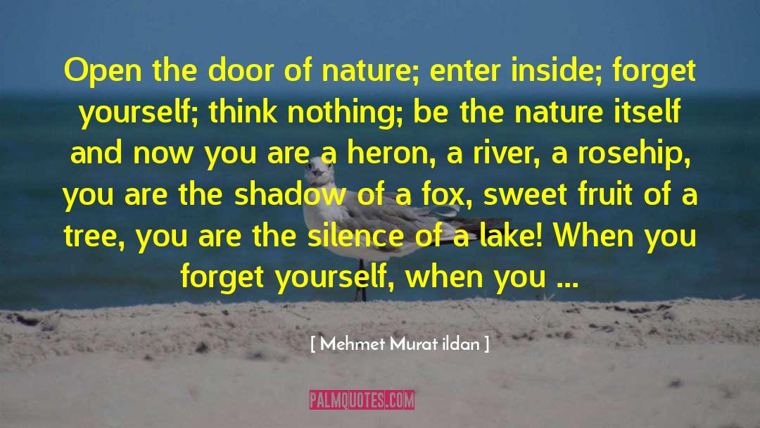 Look Inside Yourself quotes by Mehmet Murat Ildan