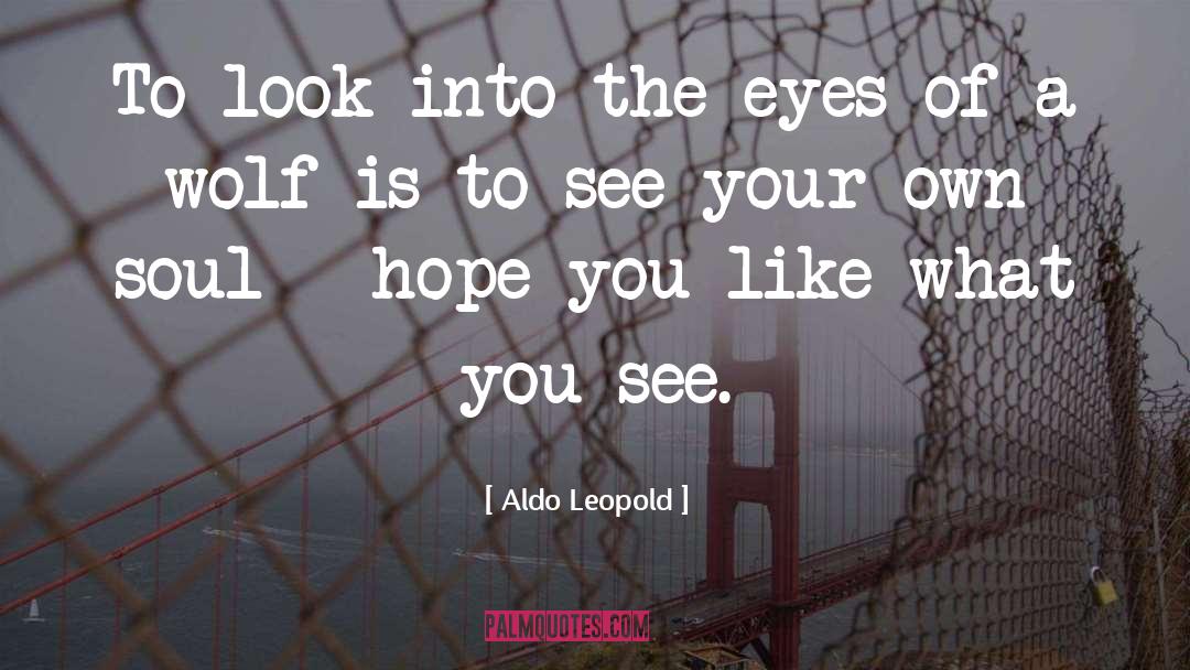 Look Into Yourself quotes by Aldo Leopold