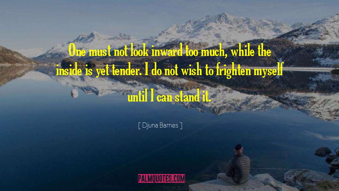 Look Inward quotes by Djuna Barnes