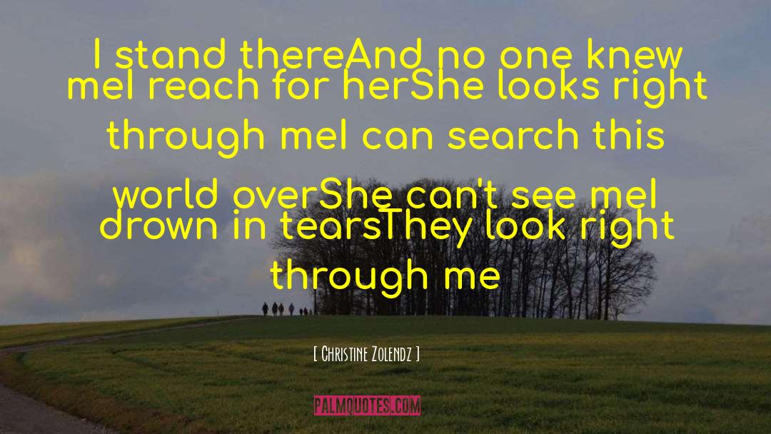 Look Right Through Me quotes by Christine Zolendz